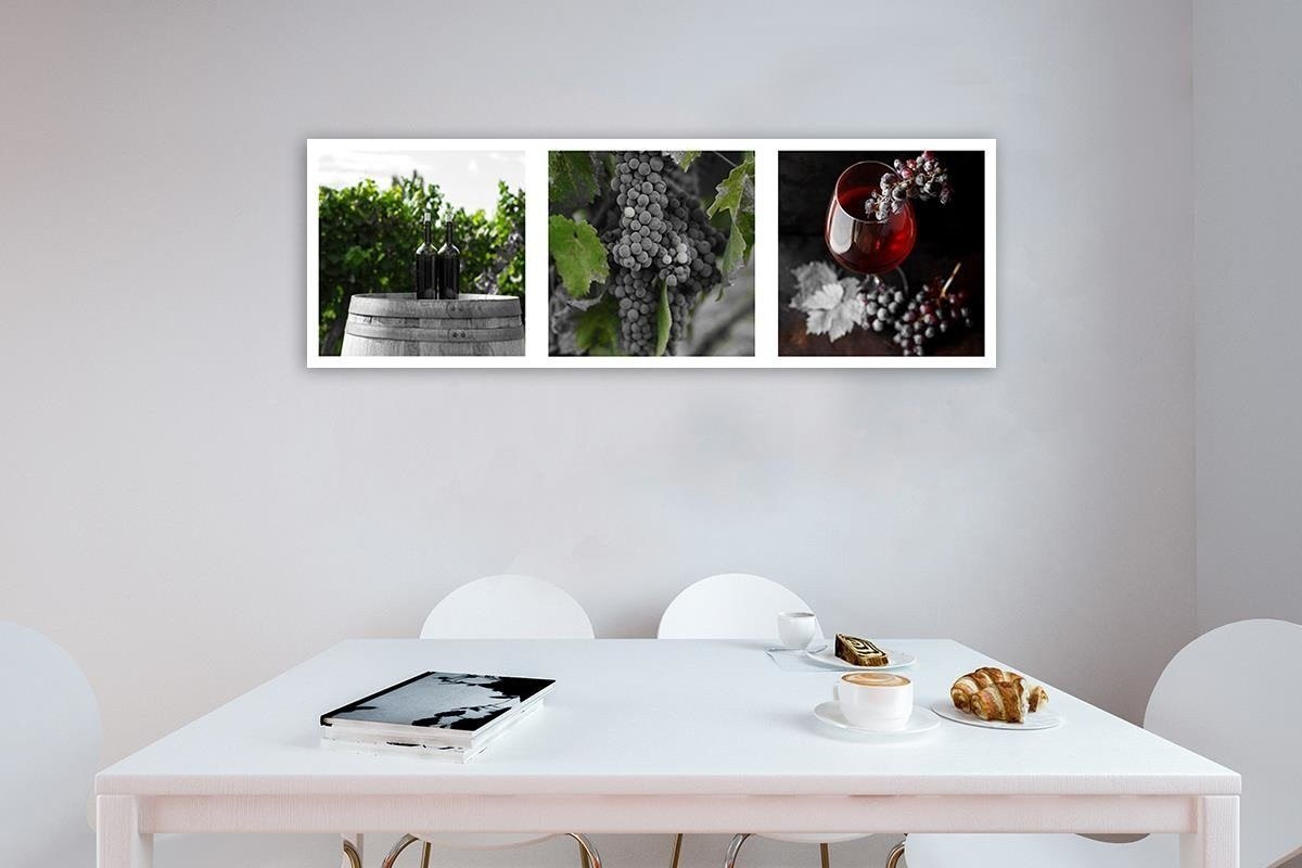 Emaga Obraz na płótnie, Magia winnicy - 150x50